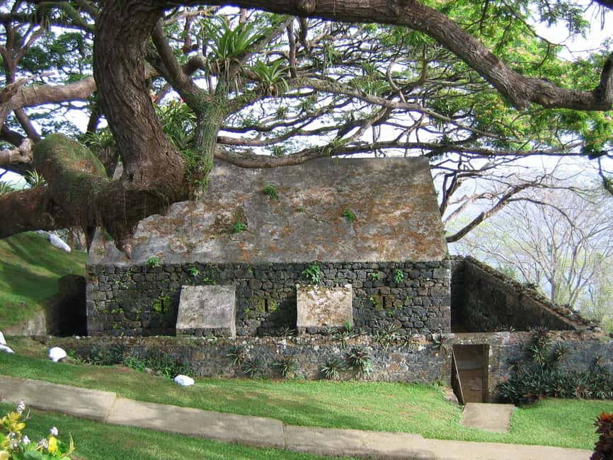 Tobago: Half-Day Highlights Tour - The Real Value in Focus