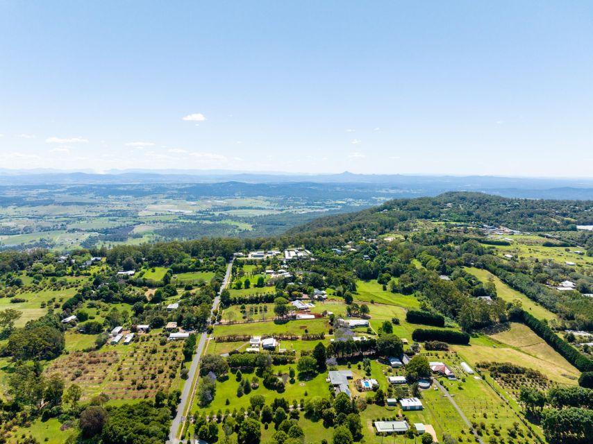 Gold Coast: Luxury Wine Tour with Gourmet Lunch & Distillery - Key Points