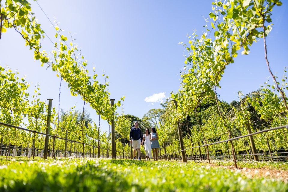 Gold Coast: Luxury Wine Tour with Gourmet Lunch & Distillery - The Value of the Experience