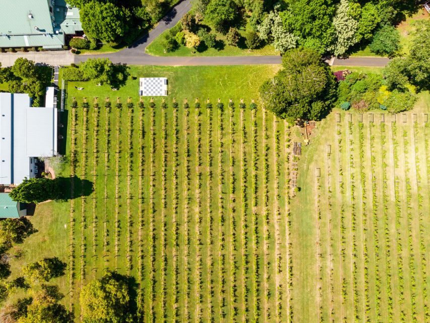 Gold Coast: Luxury Wine Tour with Gourmet Lunch & Distillery - Reviews & Authentic Perspectives