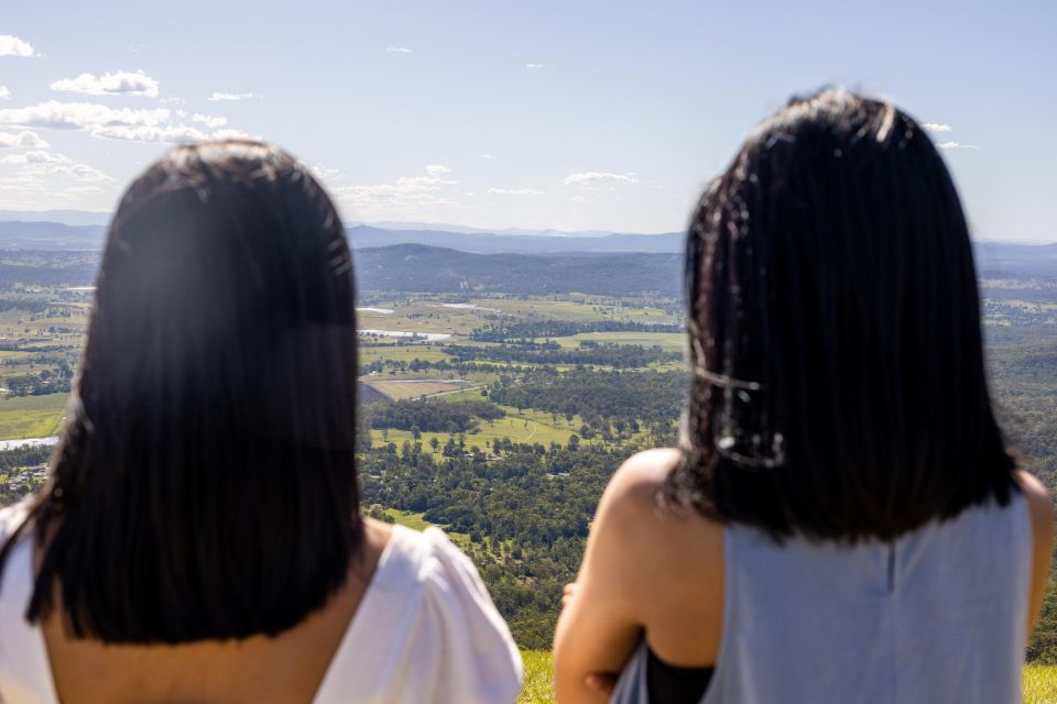 Gold Coast: Luxury Wine Tour with Gourmet Lunch & Distillery - The Sum Up: Is It Worth Your Time?