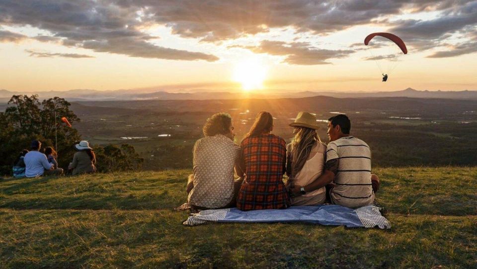Gold Coast: Luxury Wine Tour with Gourmet Lunch & Distillery - Exploring the Gold Coast: A Detailed Look at the Luxury Wine Tour with Gourmet Lunch & Distillery