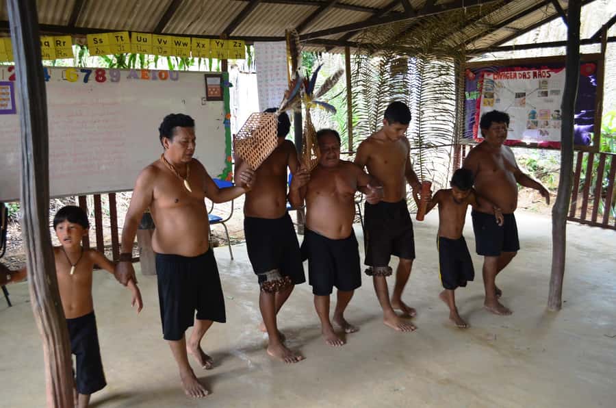 From Manaus: Tucandeira Ants Tribe Ritual Full Day Trip - Key Points