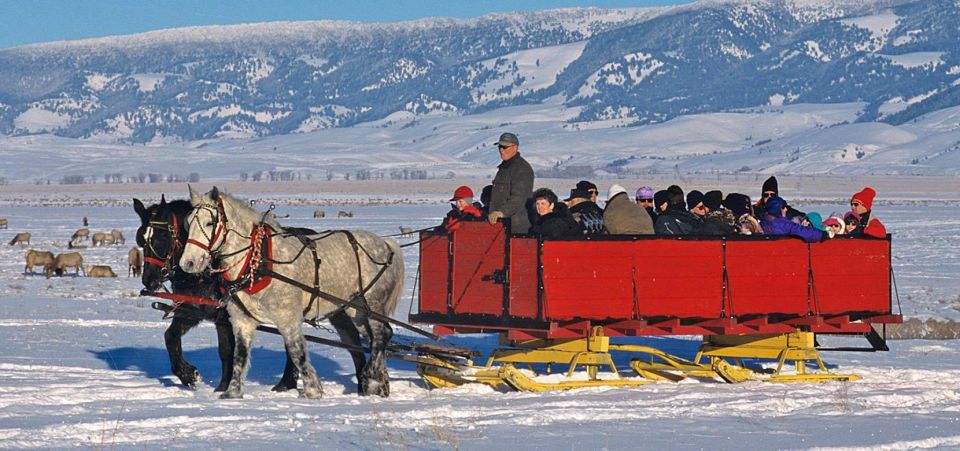 Jackson: Grand Teton and National Elk Refuge Winter Day Trip - Jackson: Grand Teton and National Elk Refuge Winter Day Trip — A Complete Guide