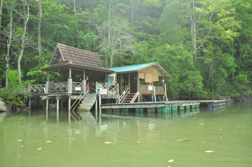 Langkawi: 6-Hour Kilim Mangrove Boat Tour w/ Lunch & Pickup - Authentic Experiences and Hidden Gems