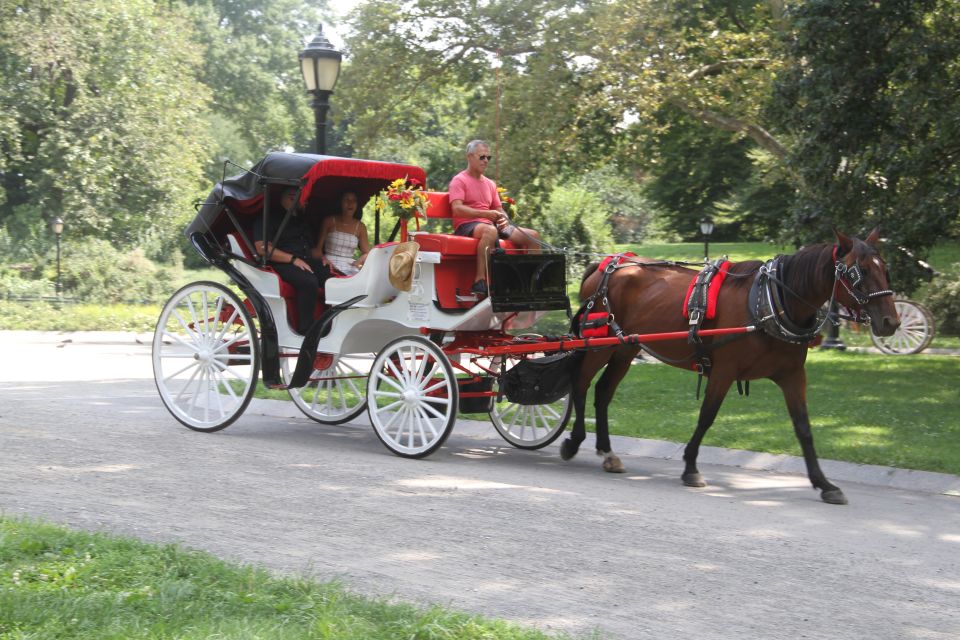 Romantic/Proposal Central Park Carriage Tour Up to 4 Adults - Who Should Book This?