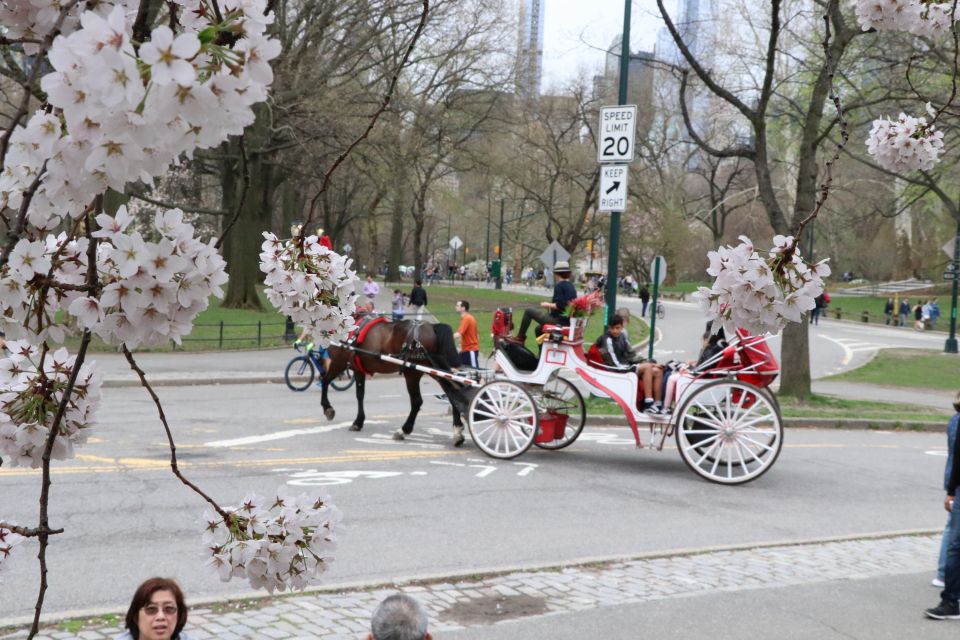 Romantic/Proposal Central Park Carriage Tour Up to 4 Adults - Frequently Asked Questions