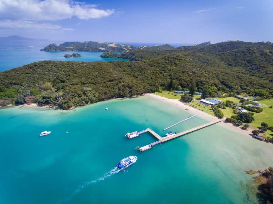 Paihia/Russell: Hole in the Rock, Dolphins & Island Cruise - What Makes This Tour Special