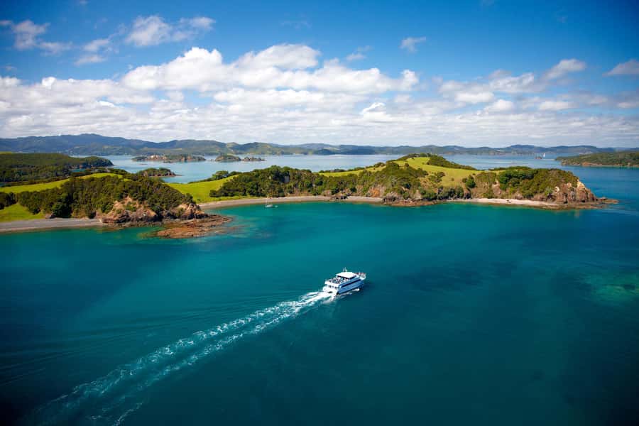 Paihia/Russell: Hole in the Rock, Dolphins & Island Cruise - Practical Tips for Travelers