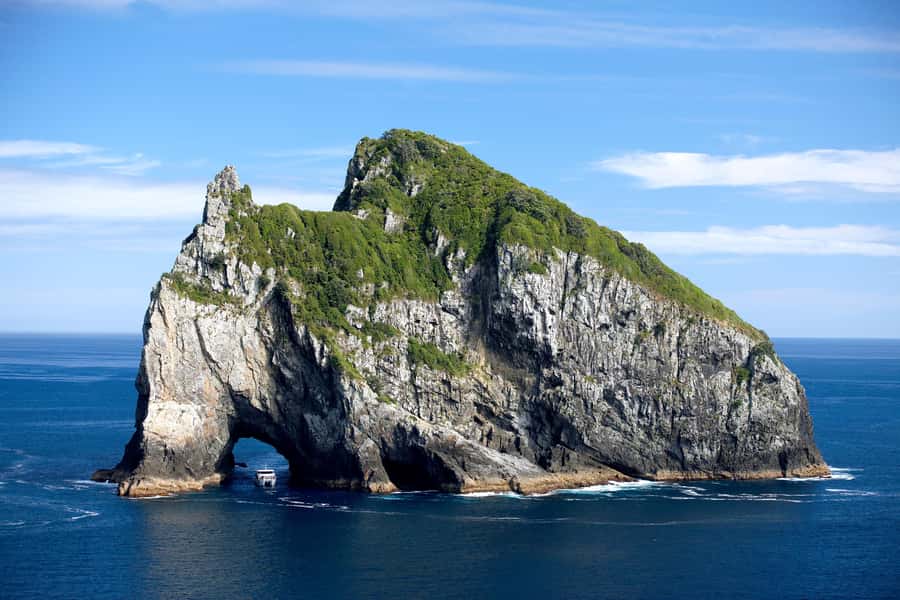 Paihia/Russell: Hole in the Rock, Dolphins & Island Cruise - What to Expect During the Tour