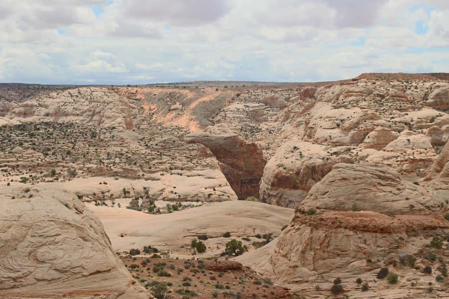 From Moab: 1-Day Horseshoe Canyon Exploration - Who Will Love This Tour?