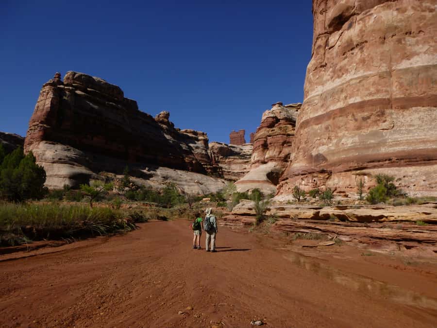From Moab: 1-Day Horseshoe Canyon Exploration - The 7-Mile Hike: Physical Challenge and Reward