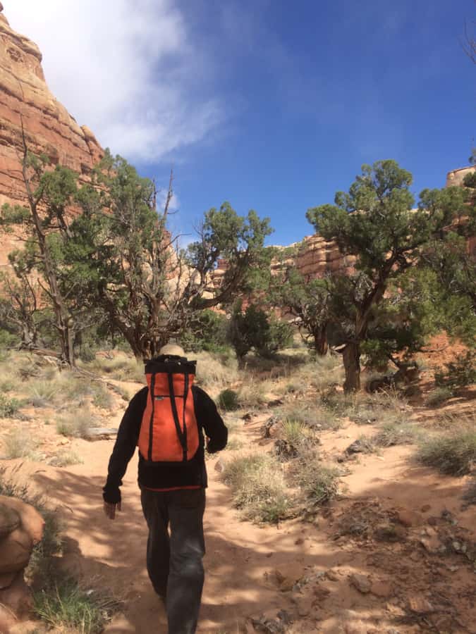From Moab: 1-Day Horseshoe Canyon Exploration - Summary