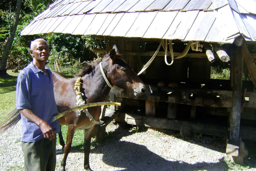 From Castries: Full-Day Catamaran Tour to Soufriere - FAQ