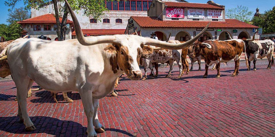 From Dallas: Fort Worth Guided Day Tour - A Closer Look at the Fort Worth Day Tour