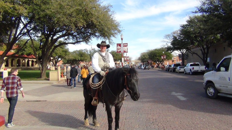 From Dallas: Fort Worth Guided Day Tour - Who Is This Tour Best For?