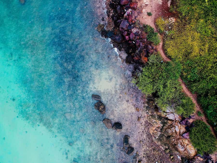 Pattaya & Coral Island 2-Day Tour From Bangkok - Final Thoughts