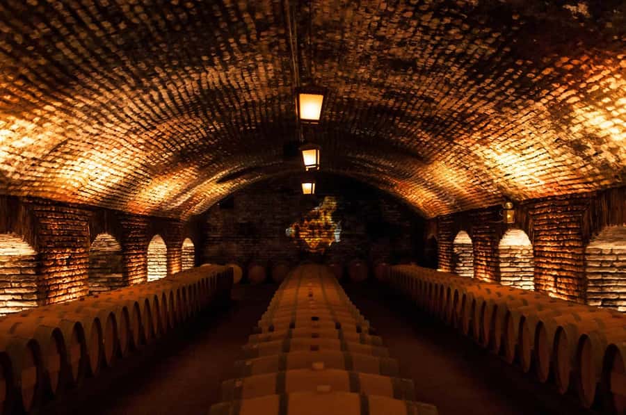 Santiago: Concha y Toro and Undurraga Vineyards Tour - What to Expect from the Tour