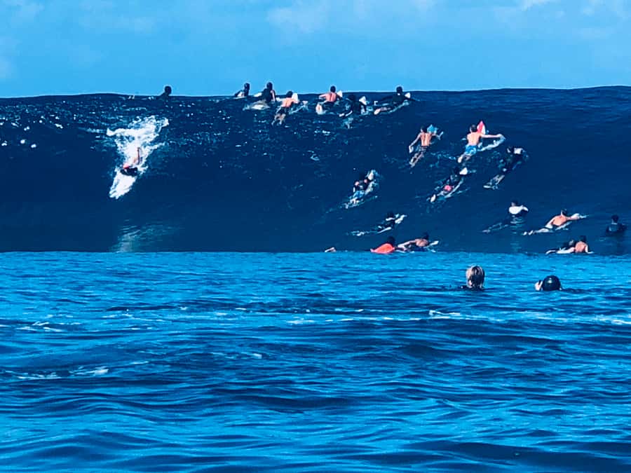 Teahupoo : First row Tahiti Pro taxi boat Tour - What to Expect on the Tour