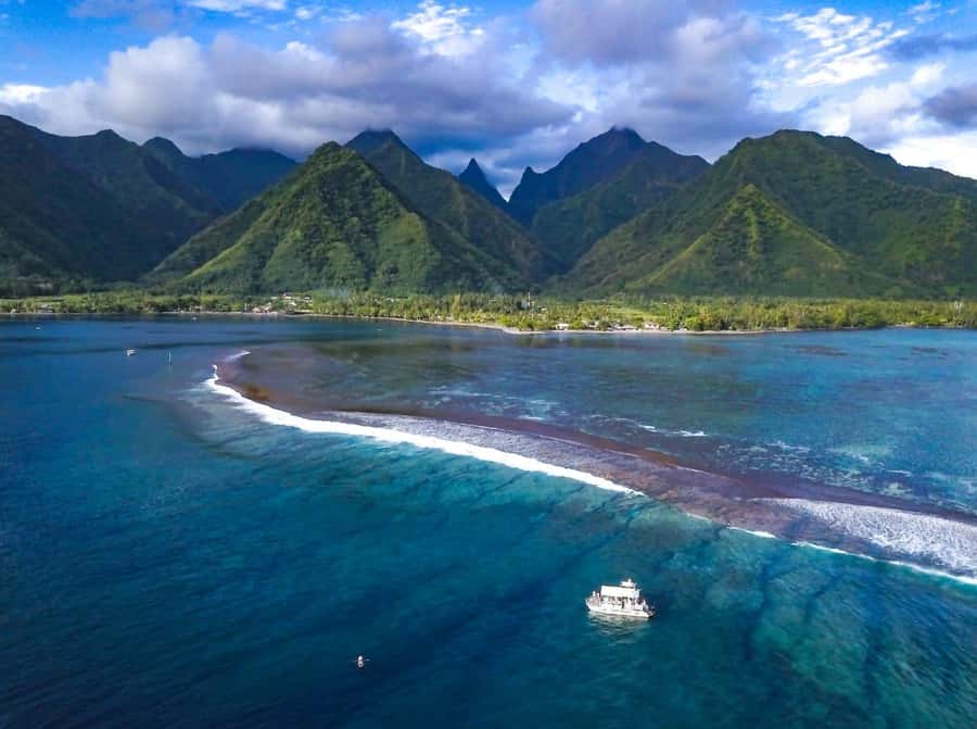 Teahupoo : First row Tahiti Pro taxi boat Tour - Who Should Consider This Tour?