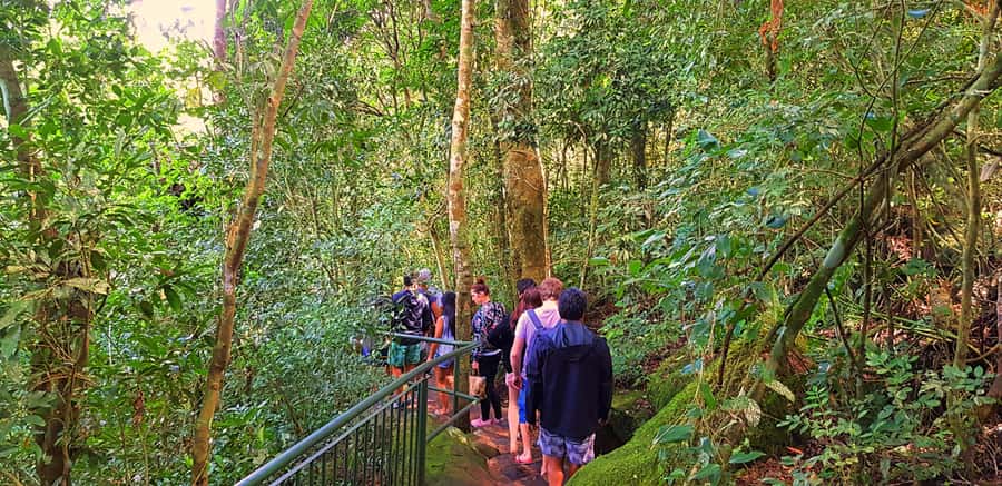 From Puerto Iguazu: Brazilian Falls with Boat Adventure - Who Is This Tour Best For?