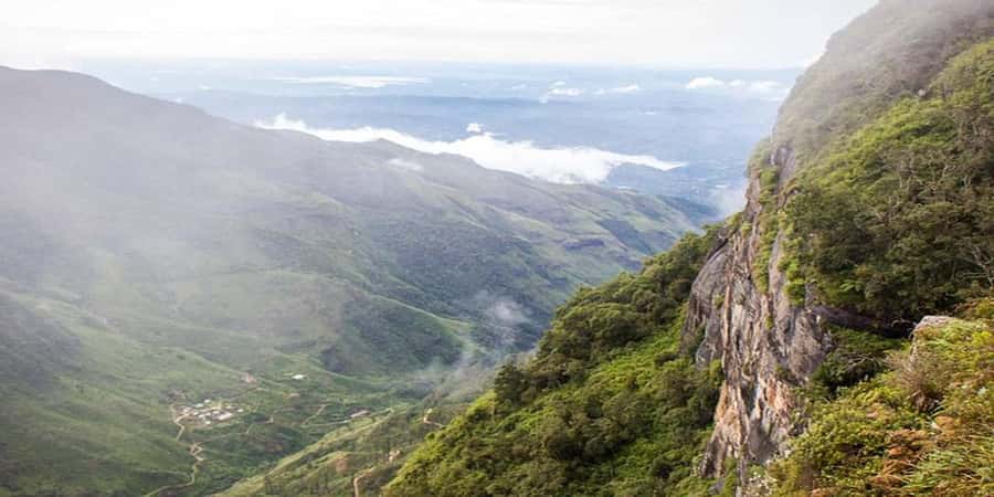 Exclusive: Scenic Train Ride & Horton Plains Private Tour - Who Would Love This Experience?