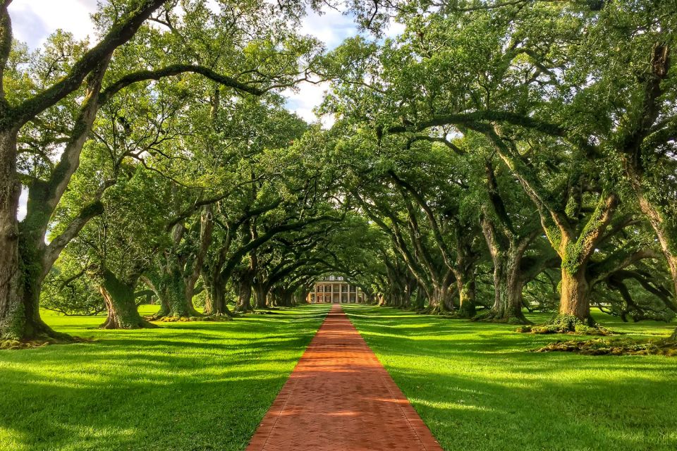New Orleans: Oak Alley Plantation Tour with Transportation - Who Will Love This Tour?