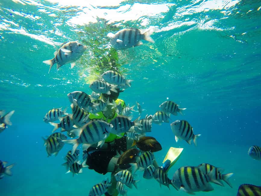 Snorkeling Tour & Sosua Beach Day - Why This Tour Works for Travelers