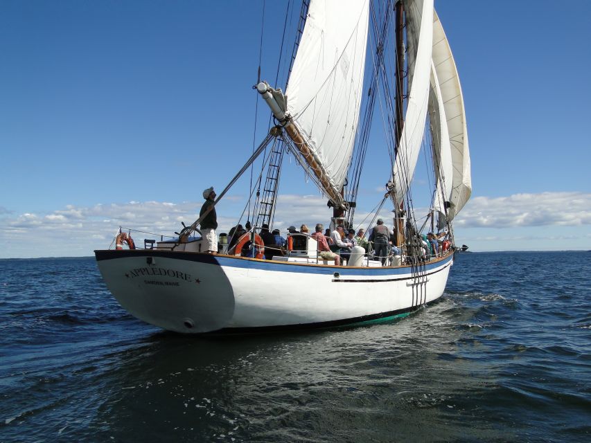 Camden: Historic Schooner Day Sailing Trip - The Sum Up: Who will love this tour?