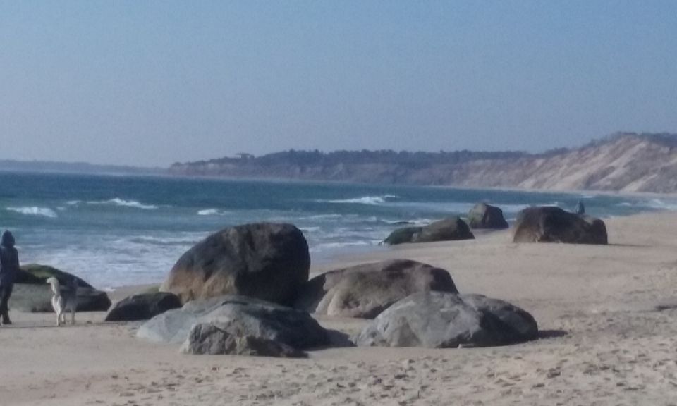 Martha's Vineyard: All Island Tour - Authentic Stories and Guest Experience