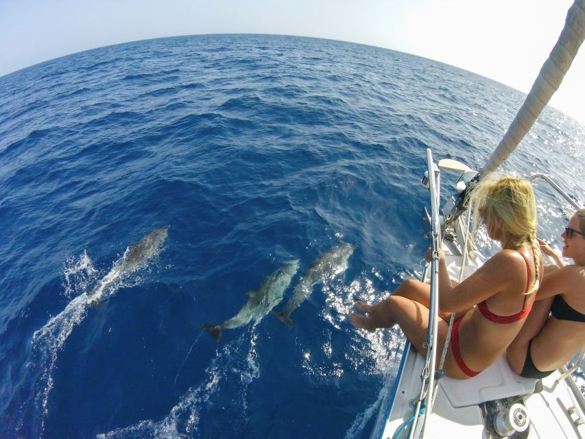 Fuerteventura: Sailing with Snorkeling and Dolphin Watching - Final Thoughts