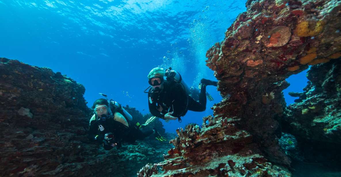 Oahu: Shallow Reef Scuba Dive for Certified Divers - A Deep Dive into the Experience
