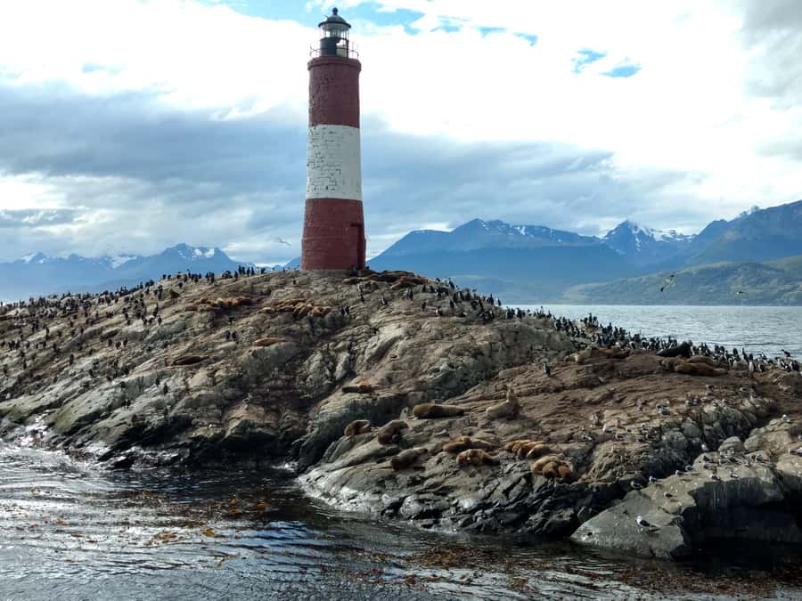 Ushuaia: Beagle Channel & Sea Wolves Island Catamaran Cruise - FAQ