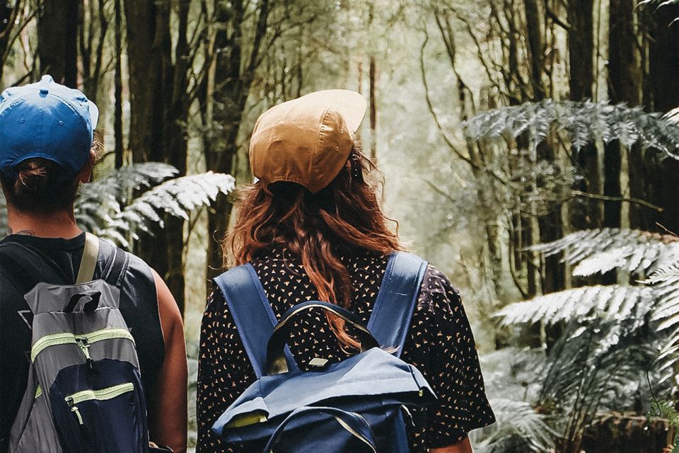 Melbourne: 12 Apostles, Otways & Great Ocean Road Day Tour - What’s Included and What’s Not