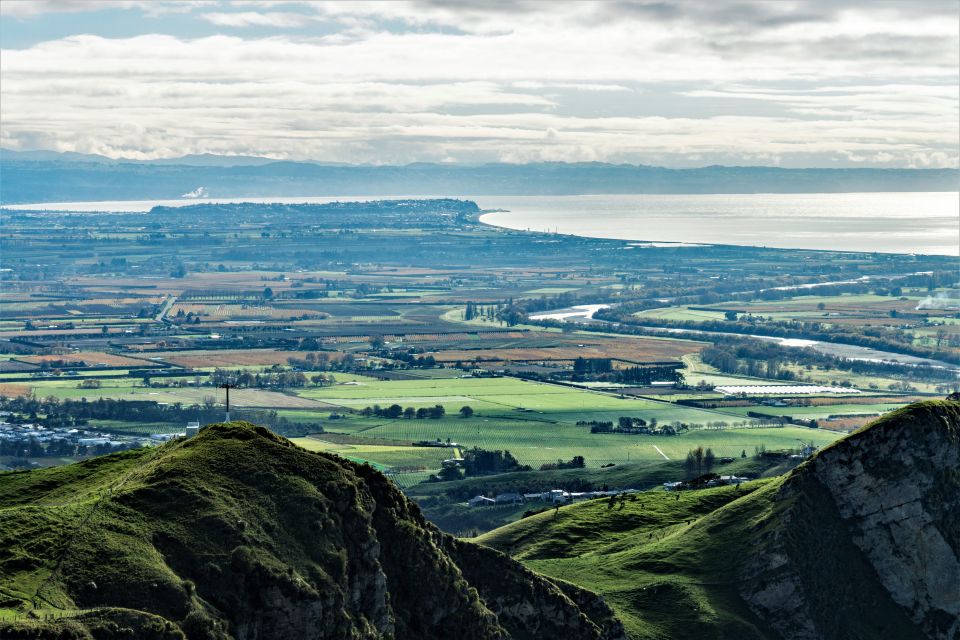 Napier: Art-Deco + Te Mata Peak+ Garden Walk + Wine Tasting - Key Points