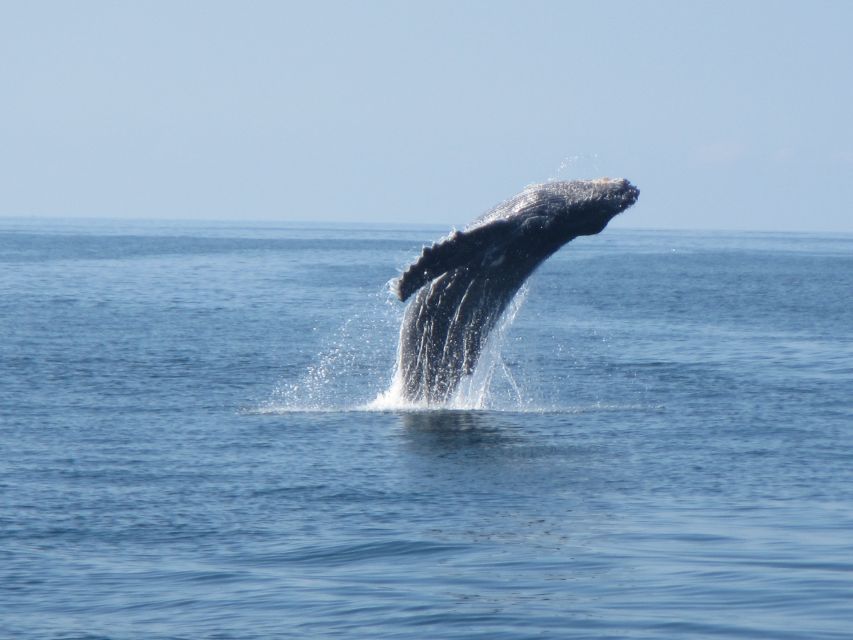 Huatulco: Bays Boat Tour with Snorkeling and Hotel Pickup - The Sum Up