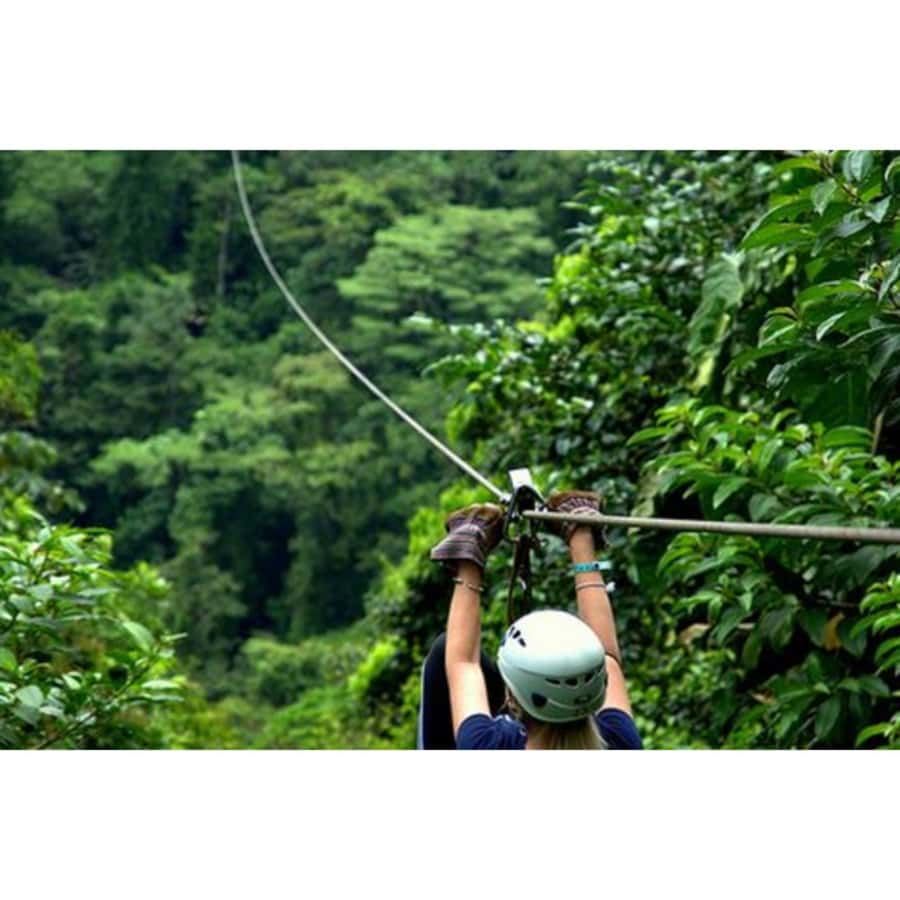 Medellin: 4-Hour Zip-Line Adventure - In-Depth Breakdown of the Itinerary