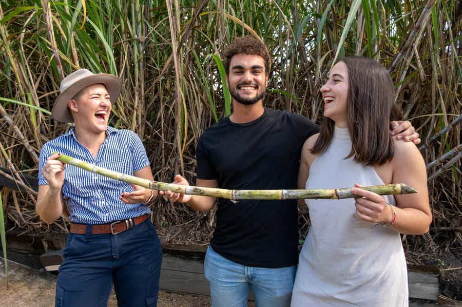 Sarina: Sarina Sugar Shed Guided Tour with Tastings - Practical Details & Tips