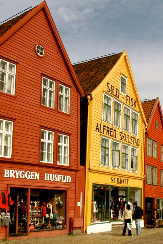 Private Bergen Walking tour - Key Points