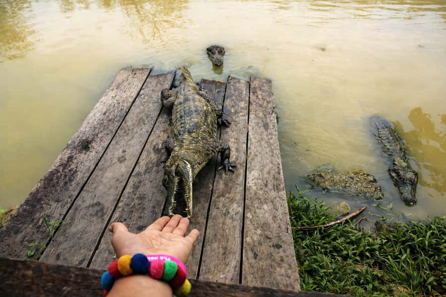 Iquitos: 6-Hour Wonderful Wildlife Guided Tour - FAQs