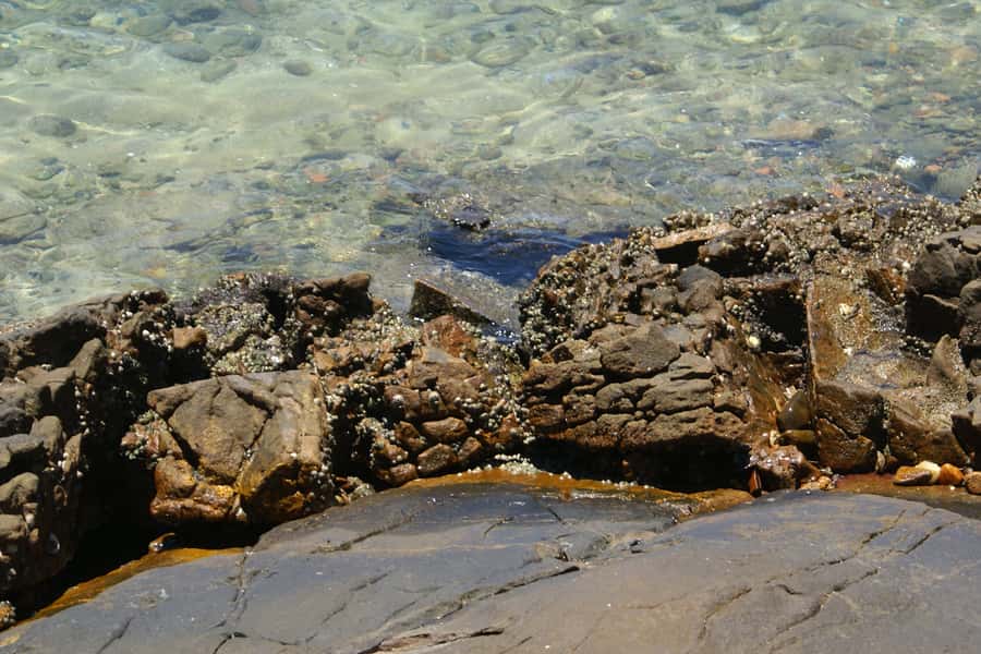 From Rio: Full-Day Angra dos Reis Cruise & Island Tour - FAQs