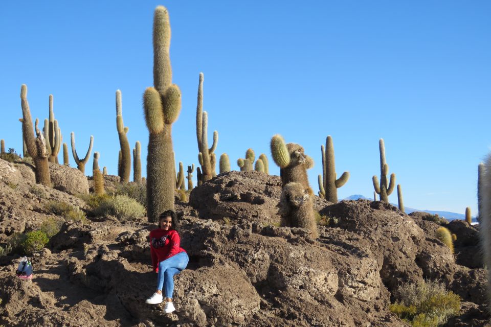Uyuni: 3 Days Uyuni & red lagoon with private accommodation. - Who Should Consider This Tour?