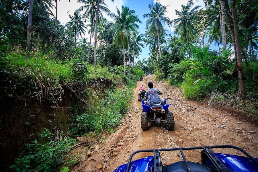 Koh Samui: Quad Bike Safari Tour - Jungle & Waterfall - Who Will Love This Tour?