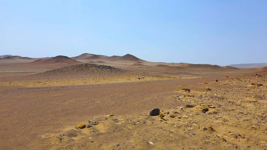 From Paracas: Paracas National Reserve Private Tour - An In-Depth Look at the Paracas National Reserve Private Tour