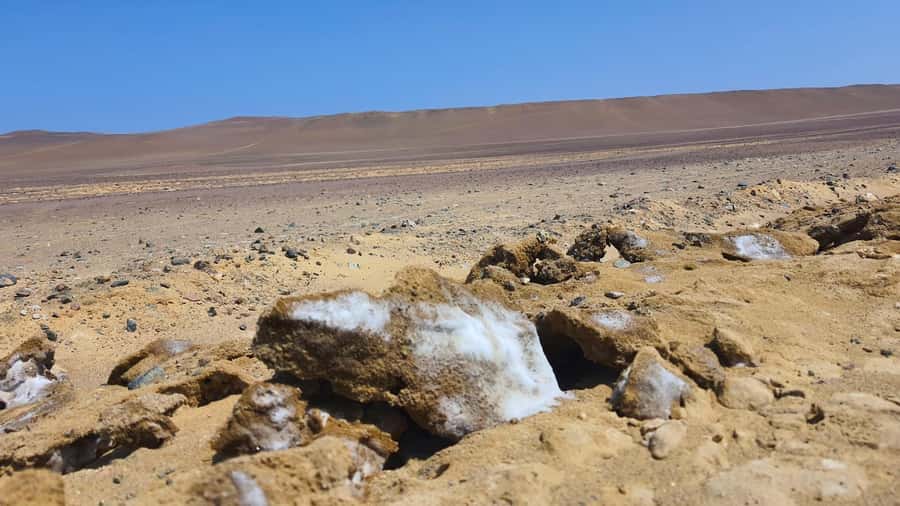 From Paracas: Paracas National Reserve Private Tour - Key Points