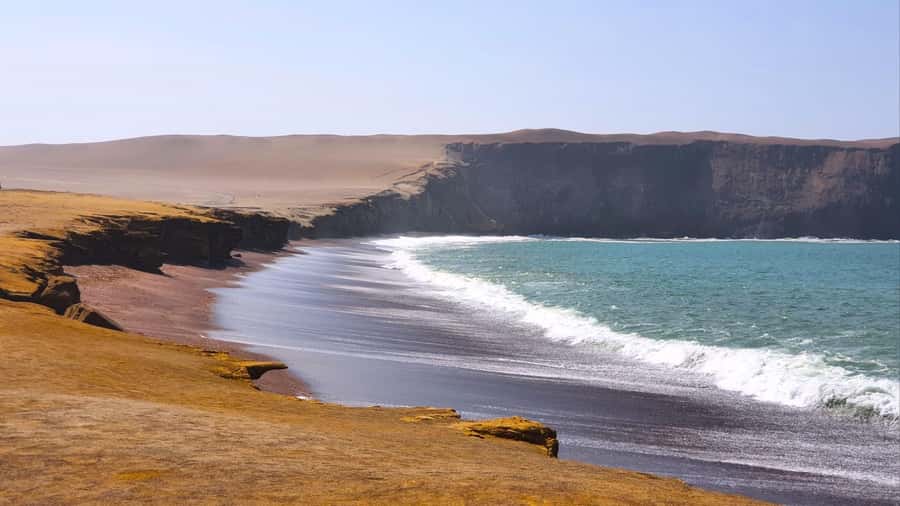 From Paracas: Paracas National Reserve Private Tour - Final Thoughts: Is This Tour Right for You?