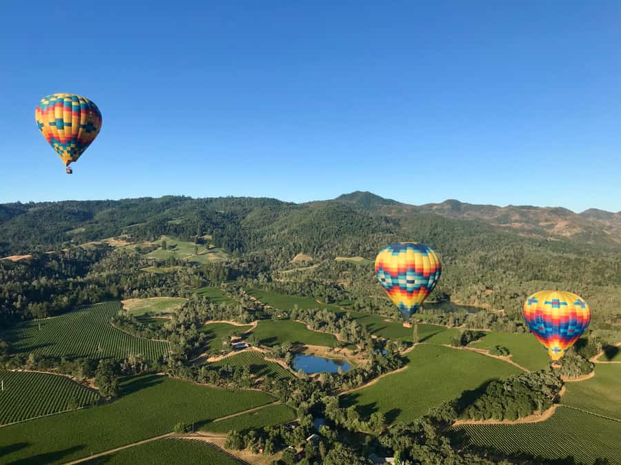 Napa Valley: Hot Air Balloon Adventure - Safety, Comfort, and Practical Details
