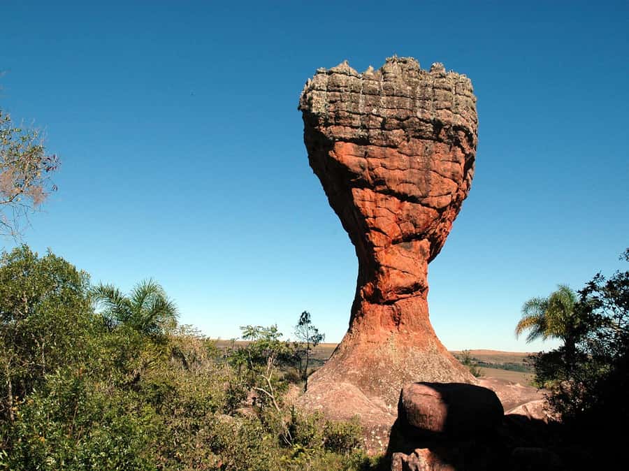 From Curitiba: Vila Velha State Park Full-Day Group Tour - FAQ