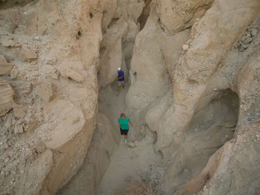 Palm Springs: San Andreas Fault Open-Air Jeep Tour - Who Will Love This Tour?