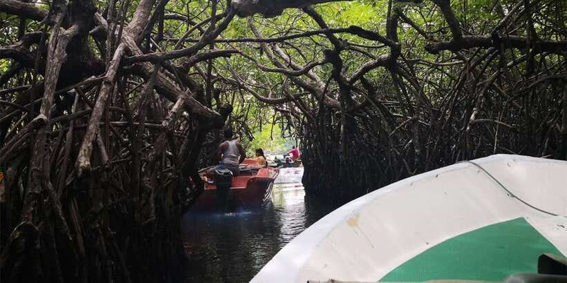 From Colombo: Handungoda, Galle, Ahangama, & Kosgoda Tour - A Closer Look at What Makes This Tour Stand Out